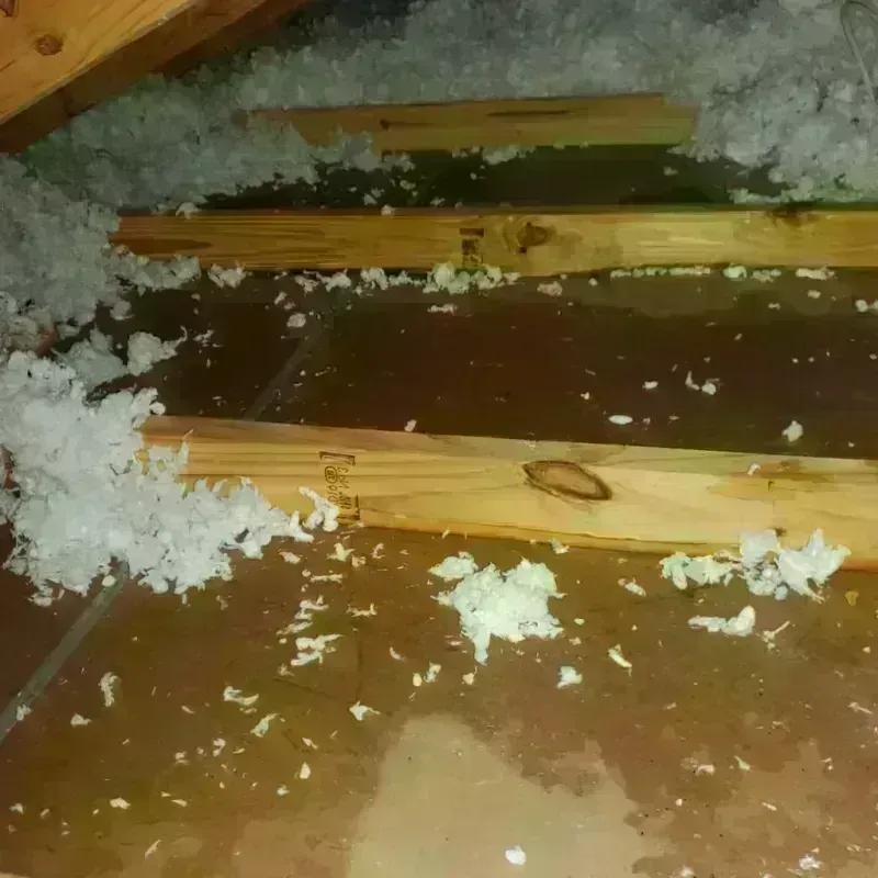 Attic Water Damage in Mascotte, FL