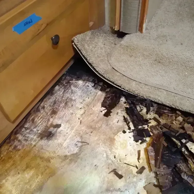 Wood Floor Water Damage in Mascotte, FL